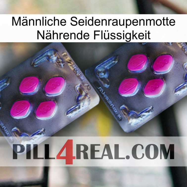 Männliche Seidenraupenmotte Nährende Flüssigkeit 01